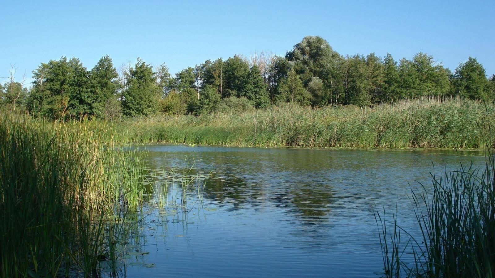 maison-de-la-nature